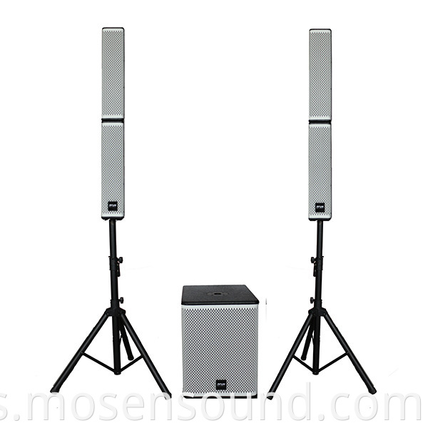 Column Speaker System